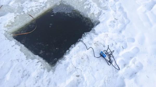 Рятують рибу від замору: у Центральному парку Луцька  прорубали ополонки2