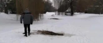 Рятують рибу від замору: у Центральному парку Луцька  прорубали ополонки