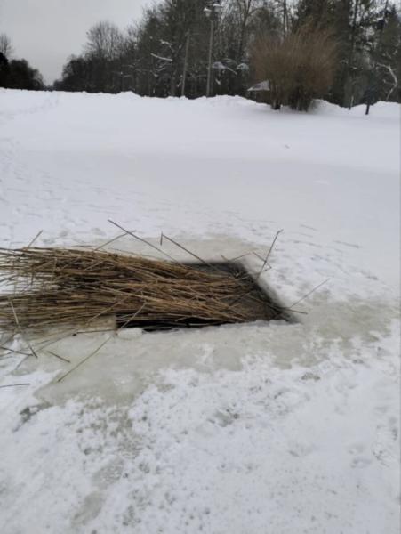 Рятують рибу від замору: у Центральному парку Луцька  прорубали ополонки1