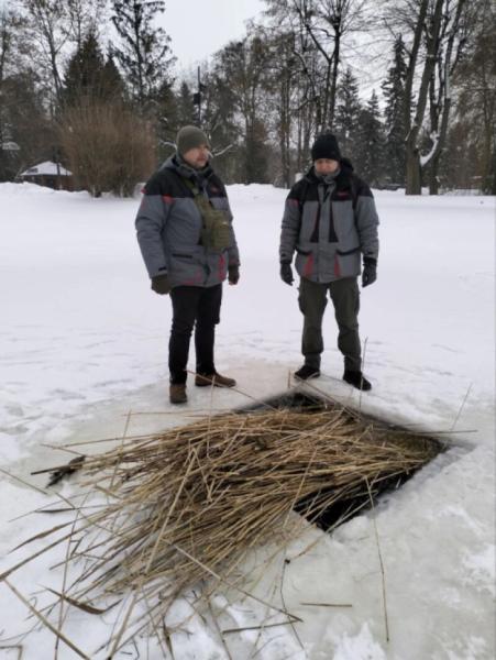 Рятують рибу від замору: у Центральному парку Луцька  прорубали ополонки3