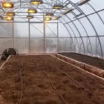 Від садів до конопель: які державні програми запрацювали для аграріїв у 2025 році