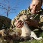 Многих вывезенных в Крым Зубковым животных из зоопарков оккупированной части Украины уже нет – зоозащитница