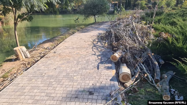 В парках Симферополя заготавливают дрова для фронта – эколог1